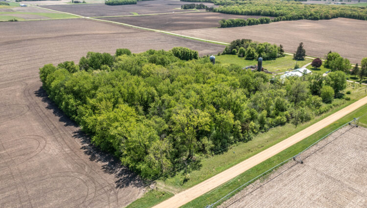 DJI_0339
