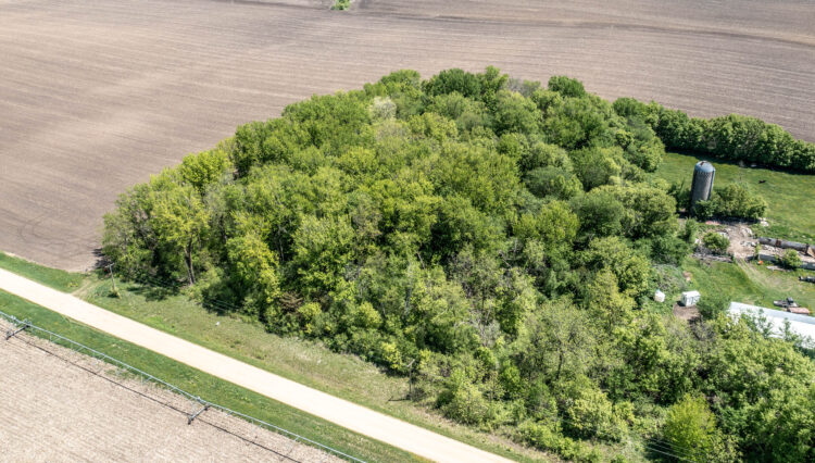 DJI_0341