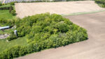 DJI_0342