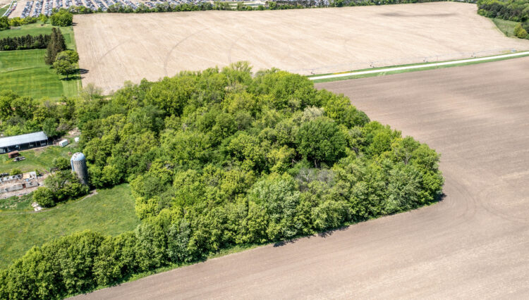 DJI_0342