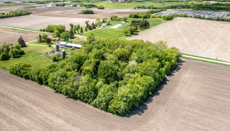 DJI_0344