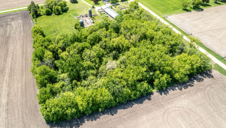 DJI_0347